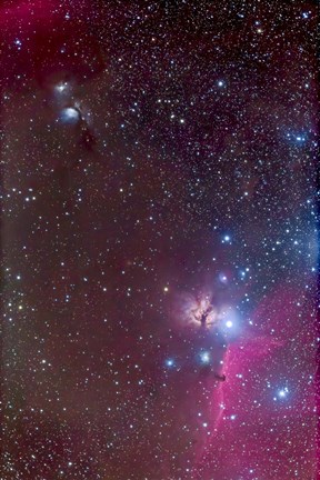 Framed Area around the Belt of Orion, with the Horsehead and Flame Nebula Print