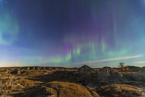 Framed Aurora borealis over the badlands of Dinosaur Provincial Park, Canada Print