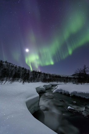 Framed Aurora Borealis over the Blafjellelva River in Troms County, Norway Print