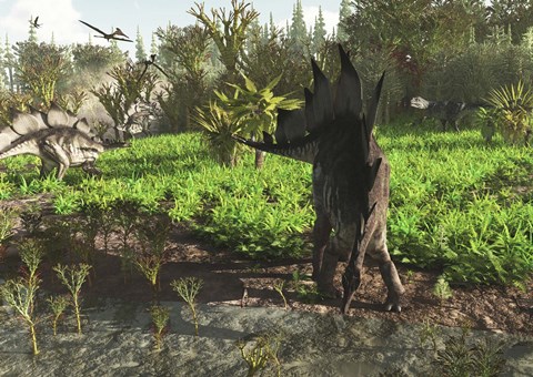 Framed group of dinosaurs roam western North America in the Late Jurassic Print