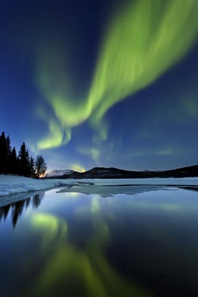 Framed Aurora Borealis over Sandvannet Lake in Troms County, Norway Print