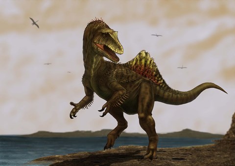 Framed Concavenator corcovatus running on the beach Print