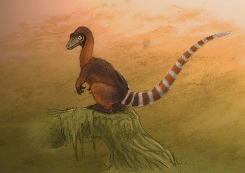Framed Sinosauropteryx dinosaur resting on a log Print