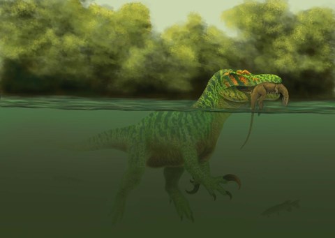 Framed Baryonyx escapes swimming from a brawl with a Hypsilophodon in his mouth Print