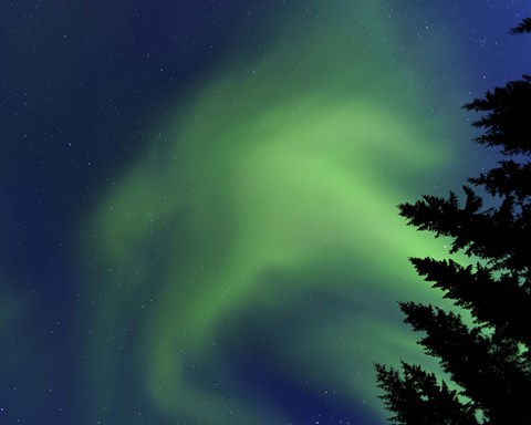 Framed Aurora Borealis in Troms County, Norway Print