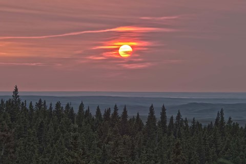 Framed Sunset at Horseshoe Canyon, Cypress Hills Interprovincial Park, Alberta, Canada Print