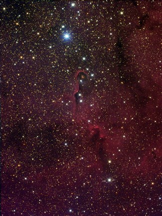 Framed Elephant's trunk nebula inside IC 1396 Print