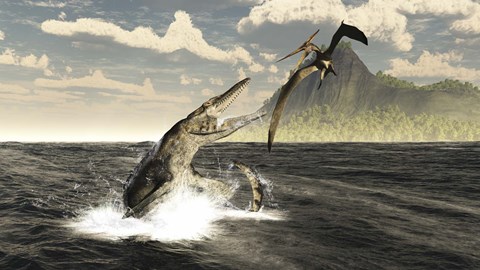 Framed Tylosaurus jumps out of the water, attacking a Pteranodon Print