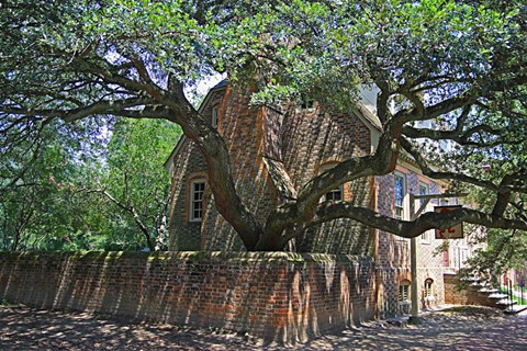 Framed Colonial Architechture Print