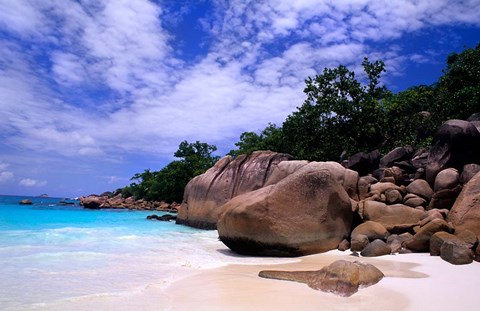 Framed Beach, La Digue in the Seychelle Islands Print