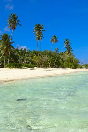 Framed Beach, Desroches Resort, Desroches Island, Seychelles Print