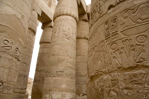 Framed Hieroglyphic covered columns in hypostyle hall, Karnak Temple, East Bank, Luxor, Egypt Print