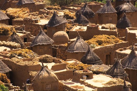 Framed Flat And Conical Roofs, Village of Songo, Dogon Country, Mali, West Africa Print