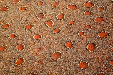 Framed Fairy circles dotting the landscape of the Namib-Rand Nature Reserve, Sossusvlei, Nambia Print