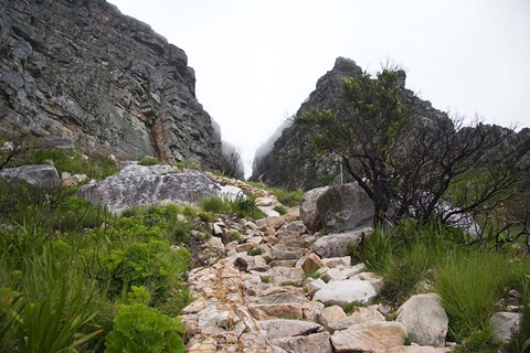 Framed Hiking Up Table Mountain, Cape Town, Cape Peninsula, South Africa Print