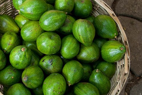 Framed Benin, Ouidah, Produce Market Avocados Print