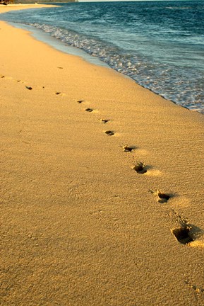 Framed Footprints in the Sand, Mauritius, Africa Print