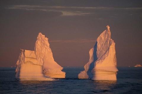Framed Antarctic Peninsula, icebergs at midnight sunset. Print