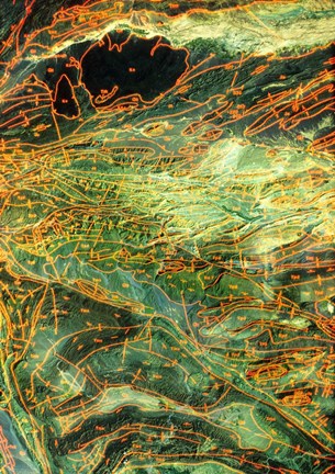 Framed Geological map, Museum of Natural Science, Texas Print
