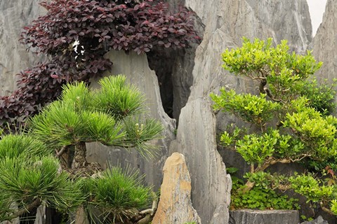 Framed Bao&#39;s Family Garden, Huangshan, China Print