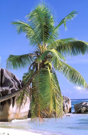 Framed Granite Outcrops, La Digue Island, Seychelles, Africa Print