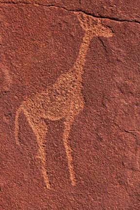 Framed Ancient rock etchings, Twyfelfontein, Damaraland, Namibia Print