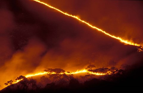 Framed Forest Fire, Gombe National Park, Tanzania Print