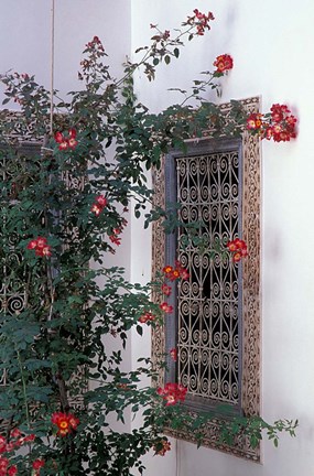 Framed Courtyard with Zellij (Mosaic Tilework), Marrakech, Morocco Print