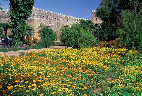 Framed Gardens and Crenellated Walls of Kasbah des Oudaias, Morocco Print