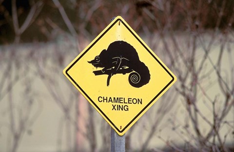 Framed Africa, Madagascar, La Madraka Farm. Sign post Print