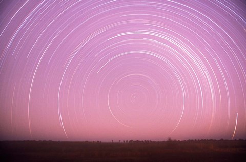 Framed Africa, Botswana, Linyanti Swamps. Star trails Print