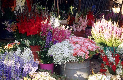 Framed Bunch of Flowers at the Market, Madagascar Print