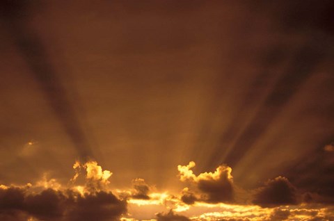 Framed Africa, Botswana. Dramatic sunbeams in the sky Print