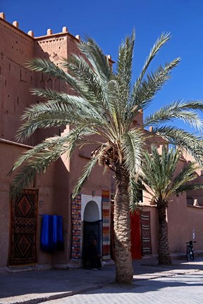 Framed Berber Carpets of Ourzazate, Morocco, Africa Print
