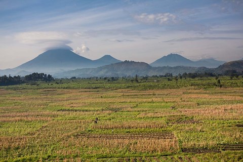 Framed Farmland around Kisoro, Kigezi, Africa Print