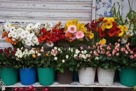 Framed Flower Market, Port Louis, Mauritius Print