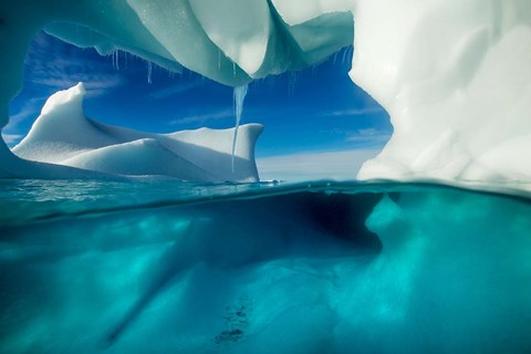 Framed Antarctica, Arched Iceberg floating near Enterprise Island. Print