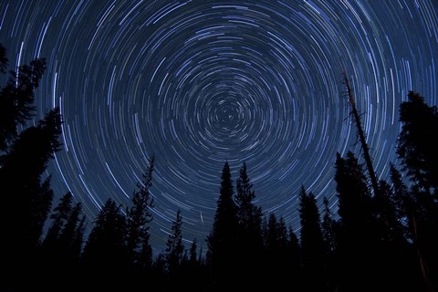 Framed Star trails and a meteor above pine trees in Lassen Volcanic National Park Print