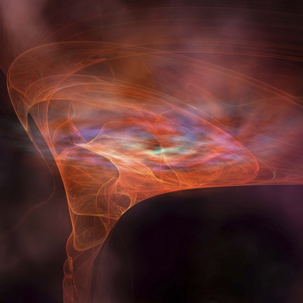Framed vortex field of a black hole Print