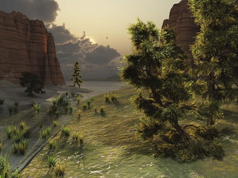 Framed trees are kissed by sunlight before an approaching storm Print