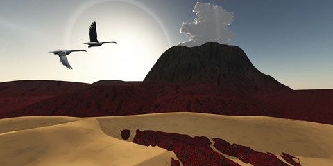 Framed Two swans fly over cooling lava flows from a recently active volcano Print