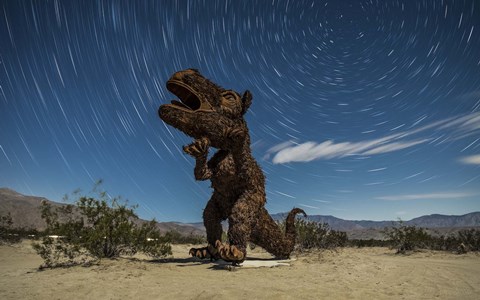 Framed Tyrannosaurus rex sculpture against a backdrop of star trails, California Print