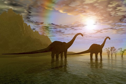 Framed Two Diplodocus dinosaurs wade through shallow water to eat some vegetation Print