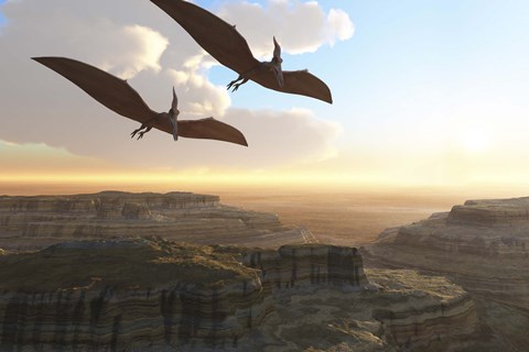 Framed Two Pterodactyl flying dinosaurs soar above a beautiful canyon Print