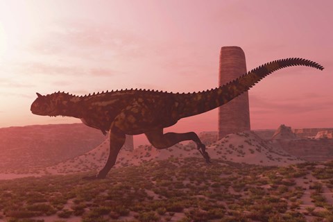 Framed Carnotaurus running in the early morning light on desert terrain Print