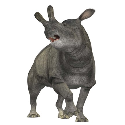 Framed Brontotherium is a rhinocerous-like mammal Print