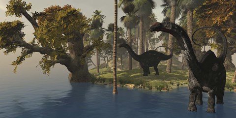 Framed Two Apatosaurus dinosaurs visit an island in prehistoric times Print