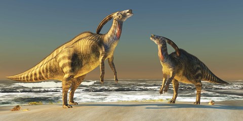 Framed Two Parasaurolophus dinosaurs bellow at each other Print