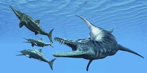 Framed Liopleurodon reptile hunting Ichthyosaurus dinosaurs in Jurassic seas Print