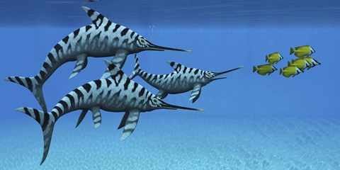 Framed group of fast swimming Eurhinosaurus marine reptiles Print